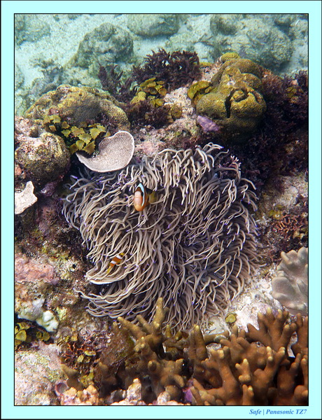 2012 - 07 - Tubod Sanctuary 12